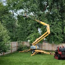  Norwood, OK Tree Services Pros