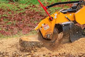 Best Weed Control  in Norwood, OK