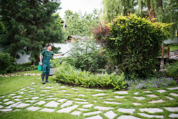 Lawn Irrigation Installation and Maintenance in Norwood, OK