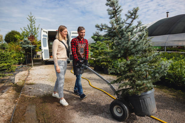 Best Palm Tree Trimming  in Norwood, OK